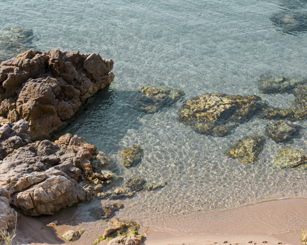 Kaktus Playa Hotel - Kaktus Hotels